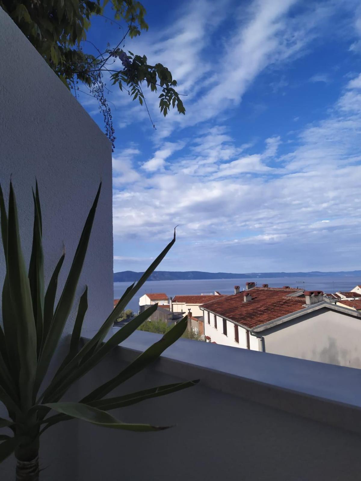 Sea View Apartments M 伯德古拉 客房 照片